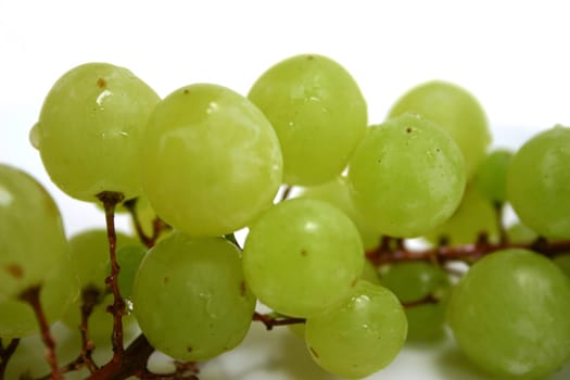 Bunches of grapes