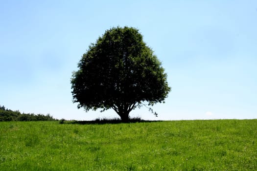I'm alone