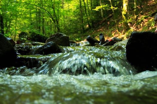 Swabian-Franconian Forest near Murrhardt,Baden-Württemberg