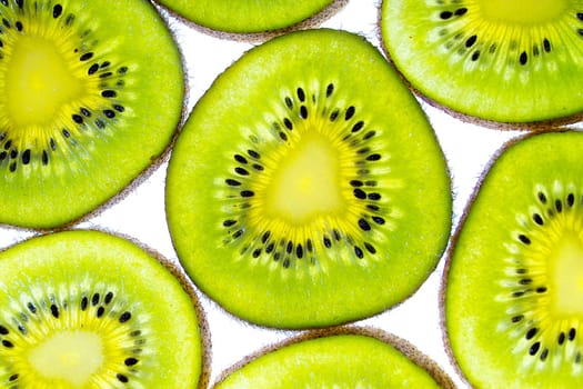 kiwi