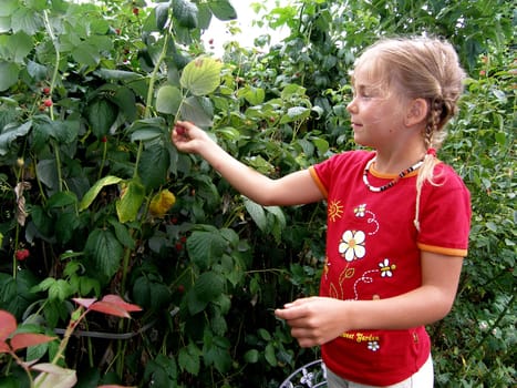 There's always something in the garden!
