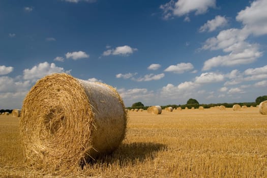 Straw bale in sunlight 3