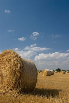 Straw bales in sunlight 2