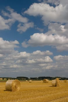 Straw bales in sunlight 6