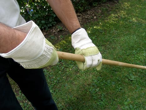 GLOVES