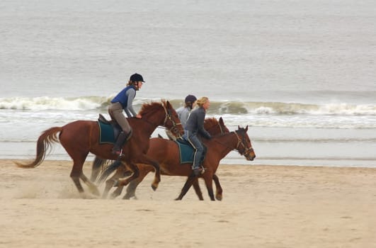 Amazons by the sea