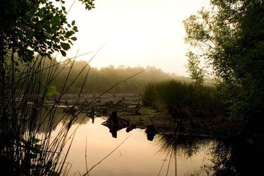Venner Moor at 6 a.m.