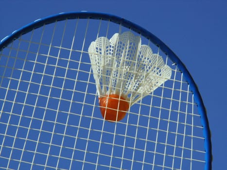 Shuttlecock
