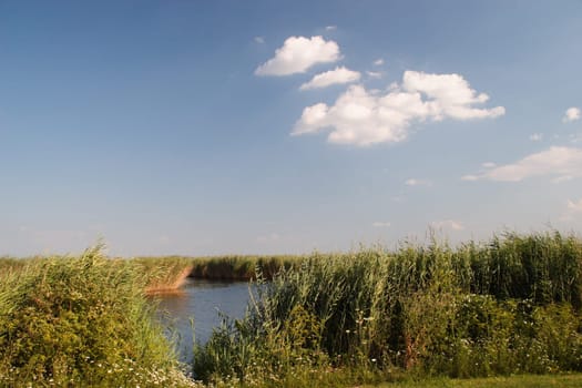 reeds 3
