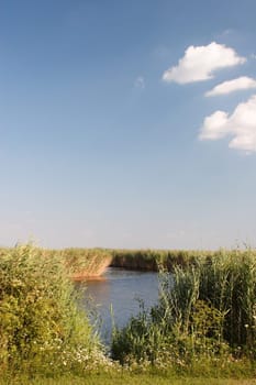 reeds 4