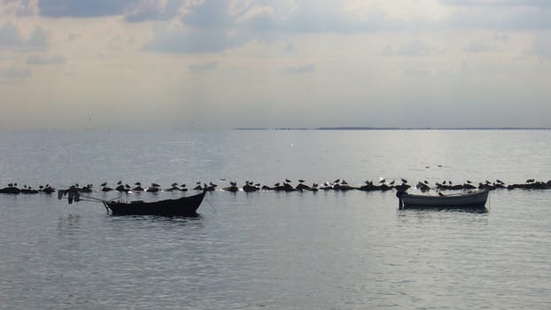 Boats