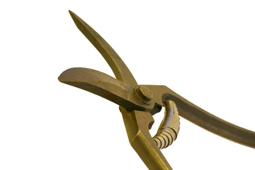 Cropped,old secateurs