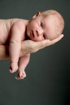 newborn