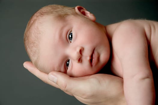 newborn