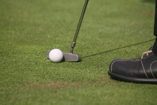 Golfers putting