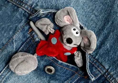 Mouse