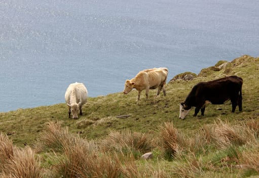 Ring of Kerry