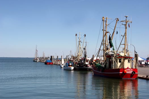 Fishery
