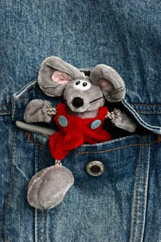 Lucky Mouse