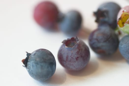 Blueberries 3