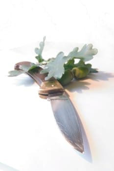 Hunting knife 2