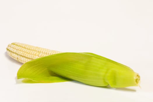Corn on the cob 2