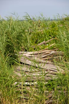 Woodpile 3