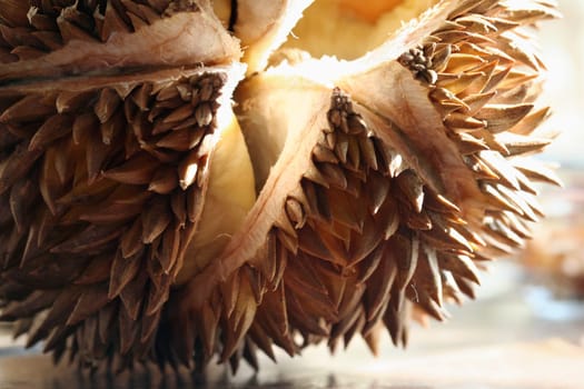 I'm prickly,I don't smell good either,but give it a try,mmmmhh!