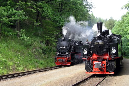 At the train station - Steinerne Renne - in the Harz Mountains
