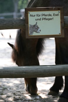 Only for horses,donkeys and grooms!
