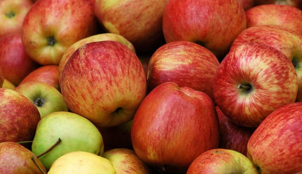 Slowly the apple season is coming...!