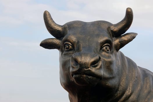 Bull