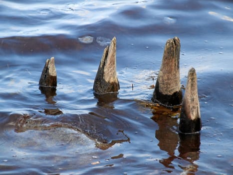 The sea leaves its mark