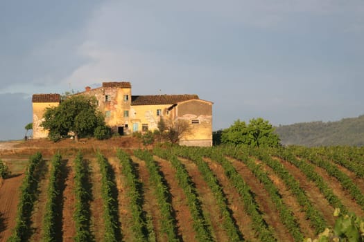 Tuscany winery