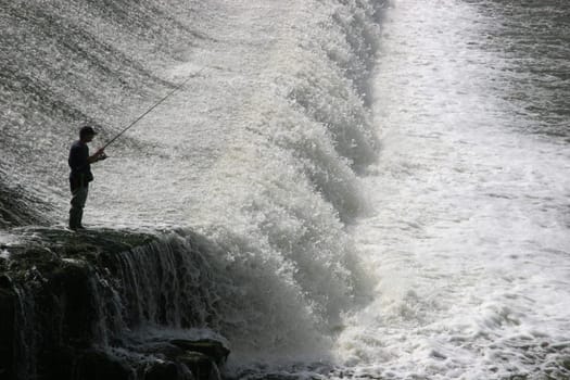 Angler