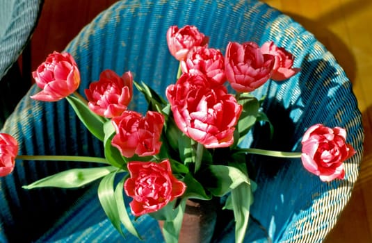 Bouquet of tulips