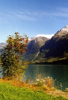 Scan from the negative -  I know scans are really not that great in terms of quality,but my Norway photos from the past are very close to my heart....! And just at this time (we used to go in September) we call back