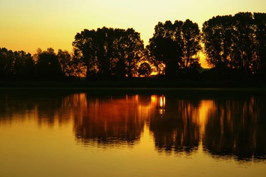 On request,the row of trees times isolated ...! Unfortunately again no duck in the foreground!