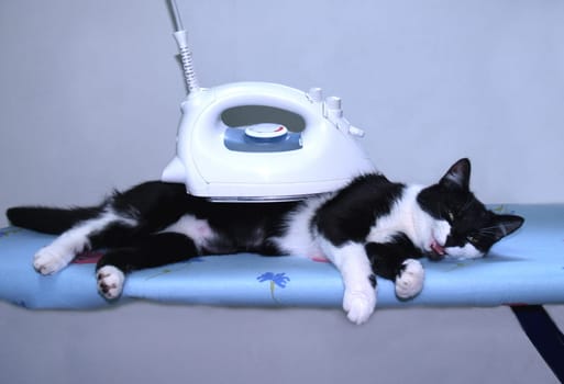 Smoothing cure