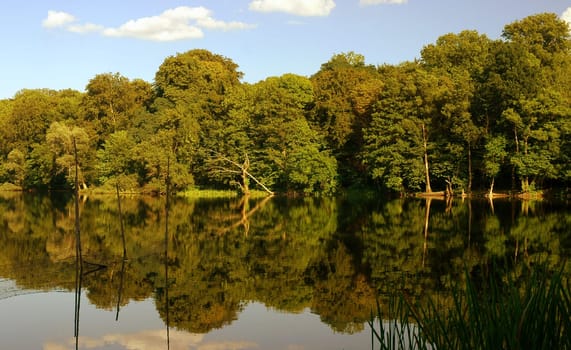 Once again yesterday evening I enjoyed the peace and quiet at our lake...!