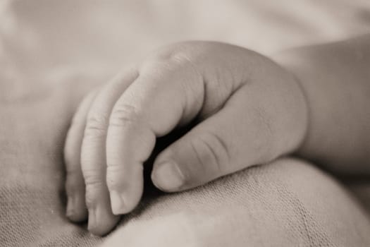 Baby hand1