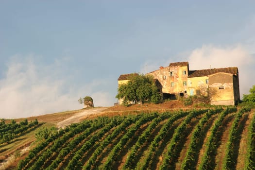 Old Winery2