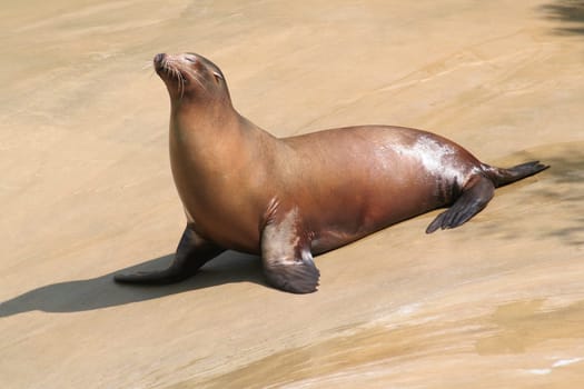 Sunbath