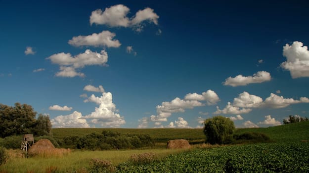 That's what it looks like in the field almost next to our house at the moment!:-)