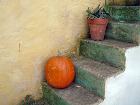 a pumpkin last year 2005 at the Halloween Fest in Europa Park - Rust.
