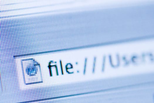 File Web Link