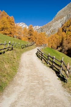 Autumn 02