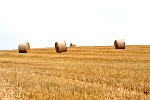 Straw bales 01