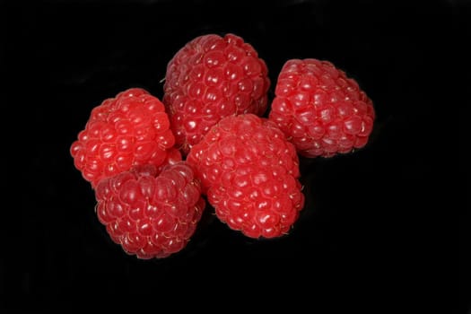 Raspberries with a black background