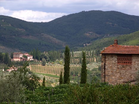 Typical Tuscany